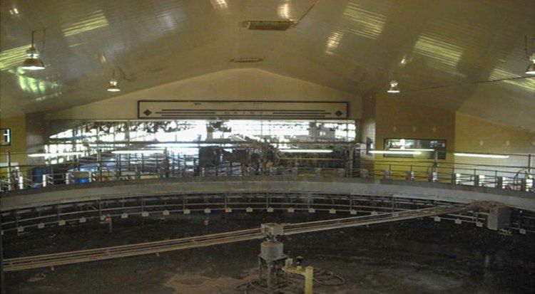 Dairy_Parlor_Metal_Building_With_Cow_Milking_Rotary_and_Partial_Mezzanine_02