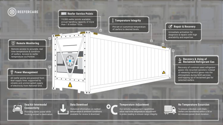 Gantry Bridge Type Steel Reefer Platforms and Auxiliaries,PSA Singapore Terminal: Terminal Port Reefer Care Process Statement
