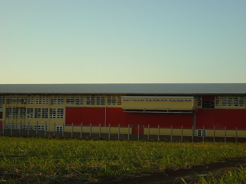 Prefabricated_Steel_Buildings_for_Textile_Sewing_Plant_Workshop_in_Mauritius_03