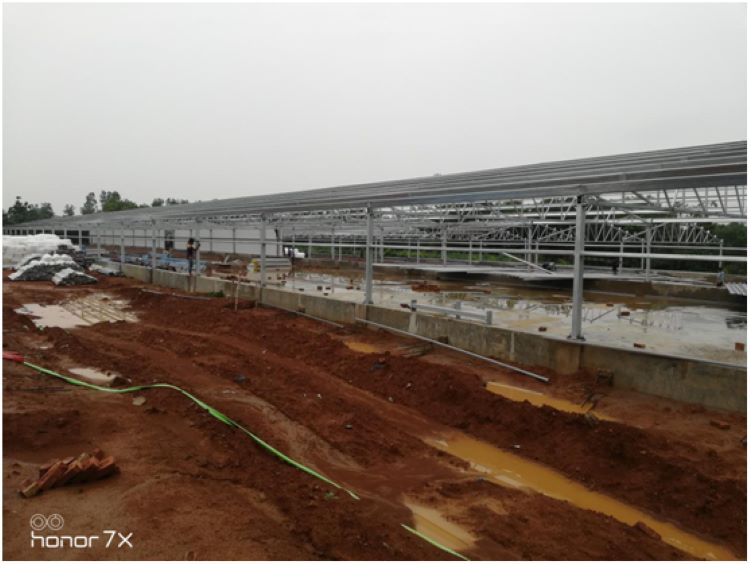 Steel_Structure_Poultry_Farm_Hangar_Prefabricated_For_Bangladesh_3_side_wall_installation