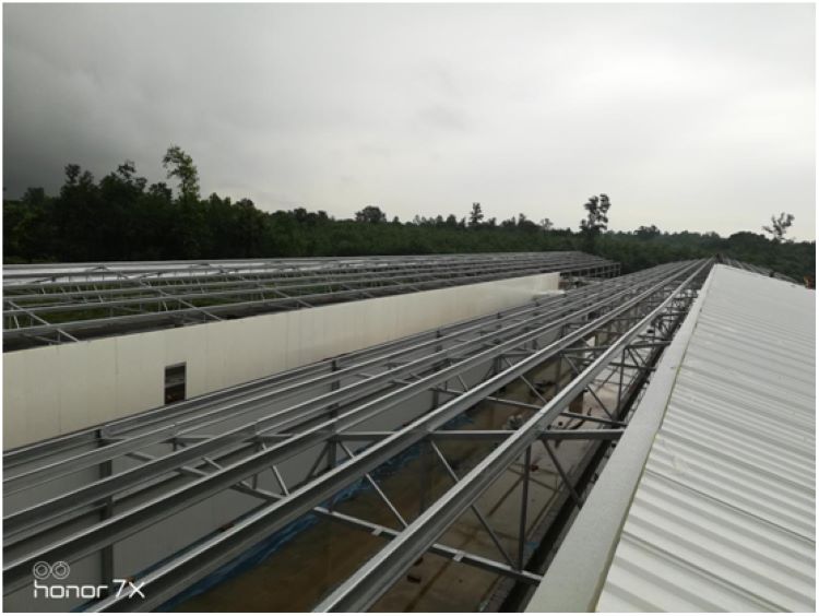Steel_Structure_Poultry_Farm_Hangar_Prefabricated_For_Bangladesh_5_roof_cladding_installation