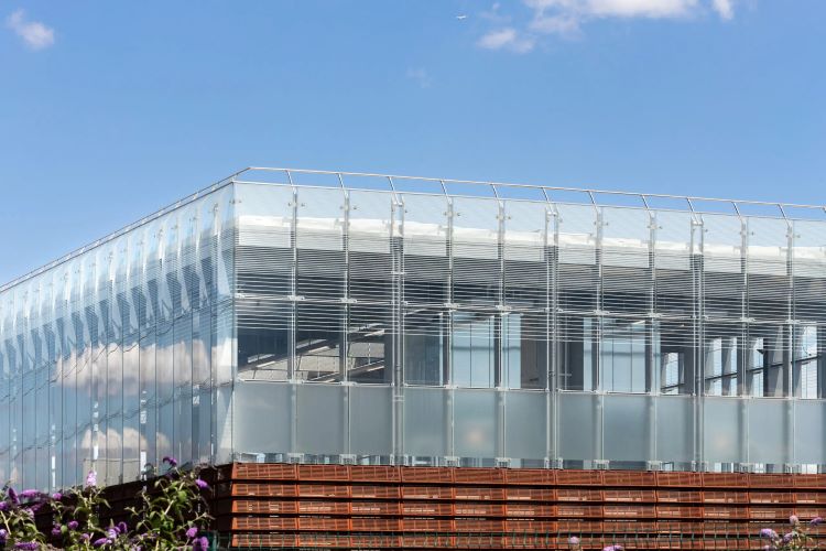 Train station Atrium Box Glazed Facade Platform and Canopies | Architecturally Exposed Steel